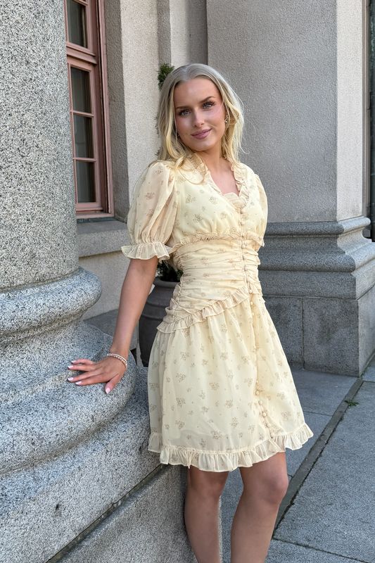Ariel Dress