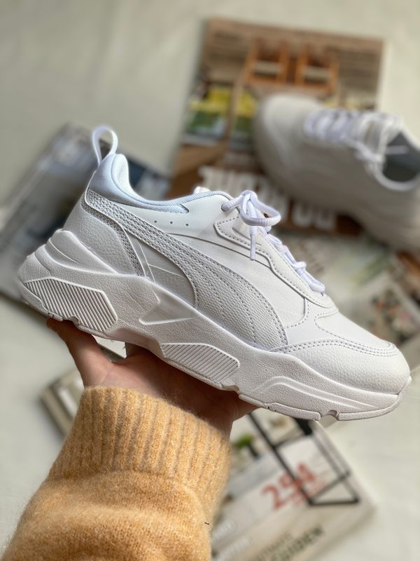 Cassia SL