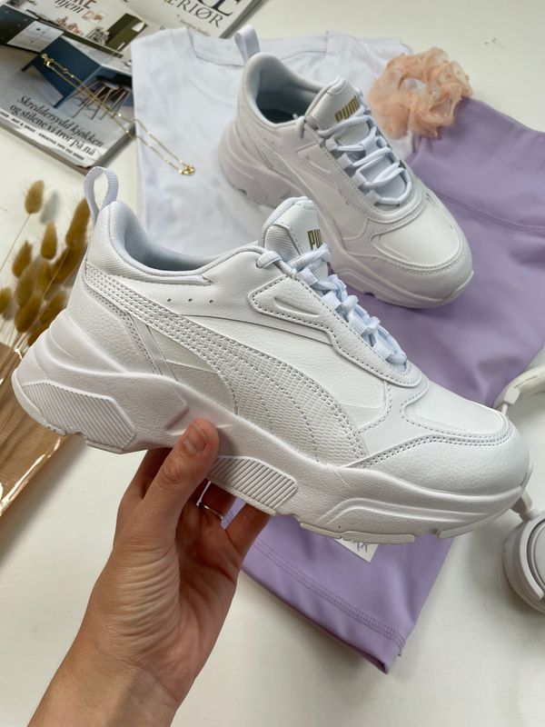 Cassia SL