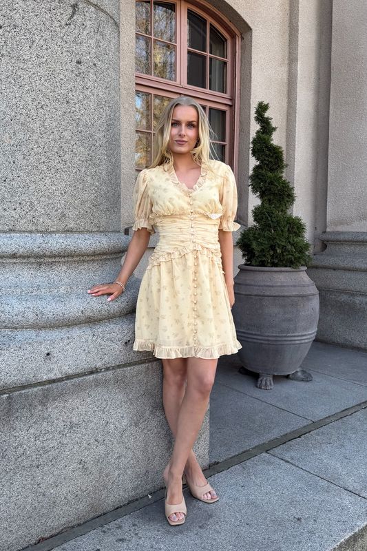 Ariel Dress